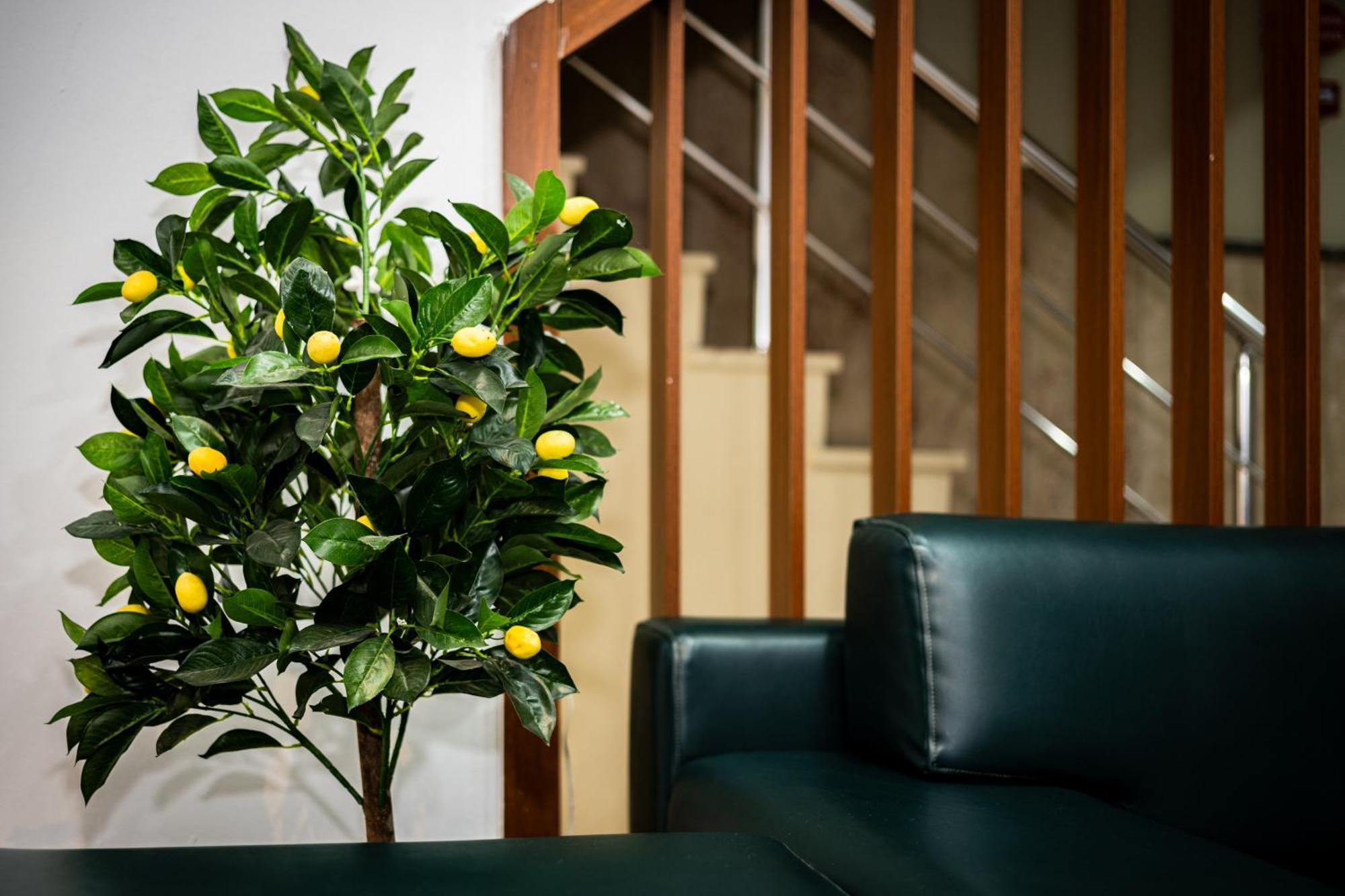 Senyor Garden Hotel 伊斯坦布尔 外观 照片